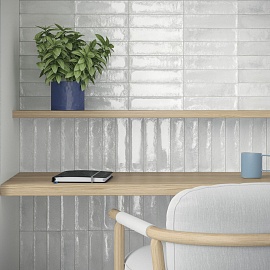 Bari Silver