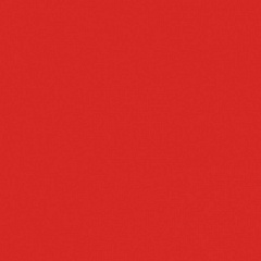 Pixel41 Red 11,5 11,5