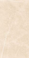 Swindon Beige Polished Technical Porcelain 60 120