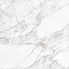 Carrara White Shine  60 60