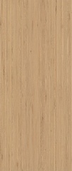 Log Icon Oak Line 6mm 120 278