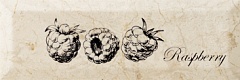 Monopole Fruit Mistral Raspberry 10 30