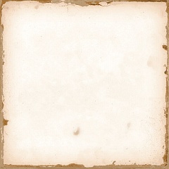 Casablanca White 12.5 12.5