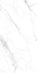 PAOLA Bianco Polished 60 120