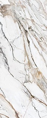 Calacatta Paonazzo Polished 120 300