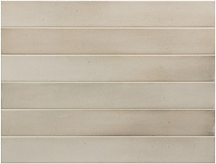Massimo Siena Earth 5 40