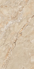Amazon Beige Shapetouch 60 120