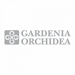 Gardenia Orchidea