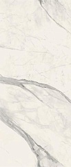 PF60010972 Statuario White Lappato A (B-C-D) 120 280