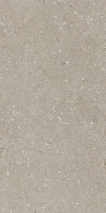 Shellstone Taupe 120х60