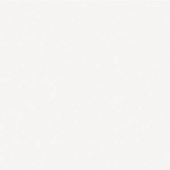 Barcelona Blanco 25х25