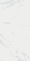 Carrara 60 120