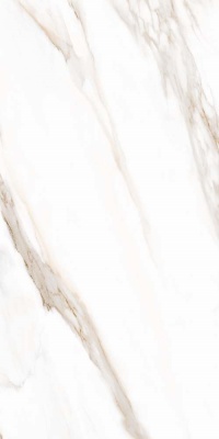 Итальянская плитка Tuscania Ceramiche White Marble White Marble Calacatta Oro Rett 61 122,2