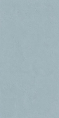 Итальянская плитка Ariana Floralia Floralia Bleuet 60 120
