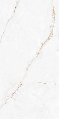 Syrac Polished (из формата 120x300cm) 240.2 120