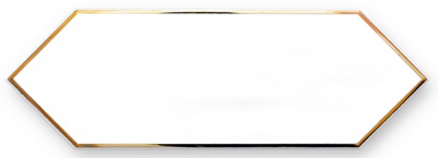 Испанская плитка Maritima Zenith Decor Zenith Gold White 10 30