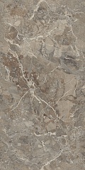 Breccia Boreale Brown Infinia Polished 60 120