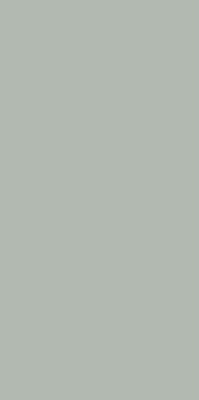 Индийская плитка Staroslim Monocolors (5мм) Reed Green Matt Fullbody 60 120