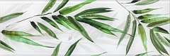 Snow Glossy Glass Tropic B 25 75