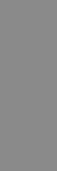 Aiza Grey Polished (full body) 80 240