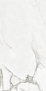 Venato Natural Polished 60 120