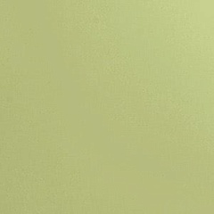 Arch. Pistacchio MJ2G 20 20