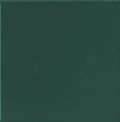 Сolor&Color d8 20 20