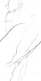 Platinum White Glossy 60 120
