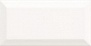PT00183 BISSEL BLANCO BRILLO 10 20