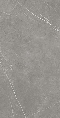 Плитка Forte Dei Marmi Elegant Grey Mat. 160х80 (Россия) Forte Dei Marmi Elegant Grey Mat. 160х80