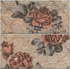CIR Chicago INS.S/2 VINT.ROSES SOUTH SIDE 10X20 10 20