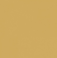 Pixel41 Curry 11,5 11,5