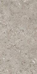 BIERZO GRIS SEDA 60 120