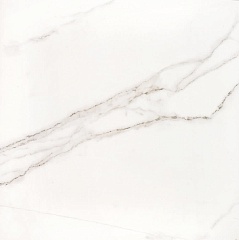 Precious CALACATTA POLISHED 59.2 59.2