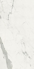 Плитка Velvet Marble Statuario Reactive 3D Rett 60 120
