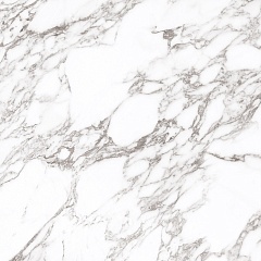 Arabescato Oscuro Polished 120 120