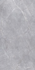 Плитка SG590200R Риальто серый обрезной 238.5х119.5 (Россия) SG590200R Риальто серый обрезной 238.5х119.5