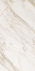 Calacatta Gold matt 1с 120х60