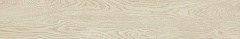 Rev. Legno 20 betulla 19.4 120