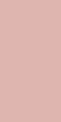 Индийская плитка Staroslim Monocolors (5мм) Elite Peach Matt 60 120