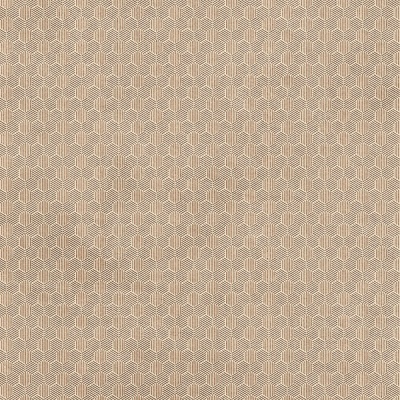 Индийская плитка Infinity Ceramica Eterna Eterna Crema Carving  60 60