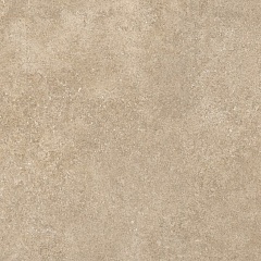 OZONE TAUPE 60 60