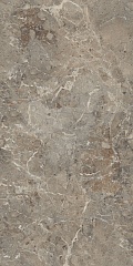 Breccia Boreale Brown Infinia Sugar Carving 60 120