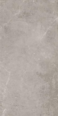 Испанская плитка Stn Ceramica Monolith Monolith Grey Rect. 59.5 120