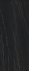 Black Gold glossy 120 270