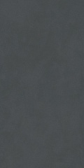 Плитка DD507120R Про Чементо антрацит матовый обрезной Орел 119,5х60 (Россия) DD507120R Про Чементо антрацит матовый обрезной Орел 119,5х60