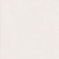 Stone Bottega Blanco Matt 120 120
