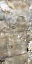 Gelata Oro Marrone High Glossy 60 120