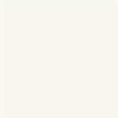 Плитка Superwhite (глазур, непрокр) 60 60