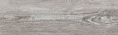 Rovere Gris Porcelanico 20.2 66.2